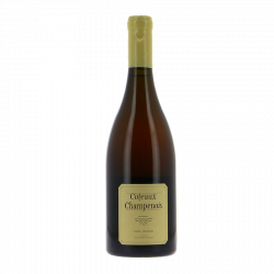 Coteaux Champenois macération "Essai vendanges" 2019