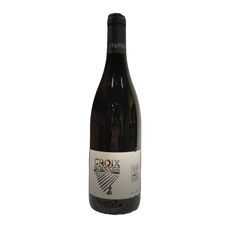 Chinon Rouge "La Croix Boissée" 2019 Chinon Rouge "La Croix Boissée" 2019