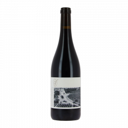 Saumur Champigny 2023