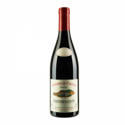 Morgon Cuvée "Tradition" 2023