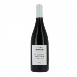 Bourgogne rouge "Renaissance" 2024