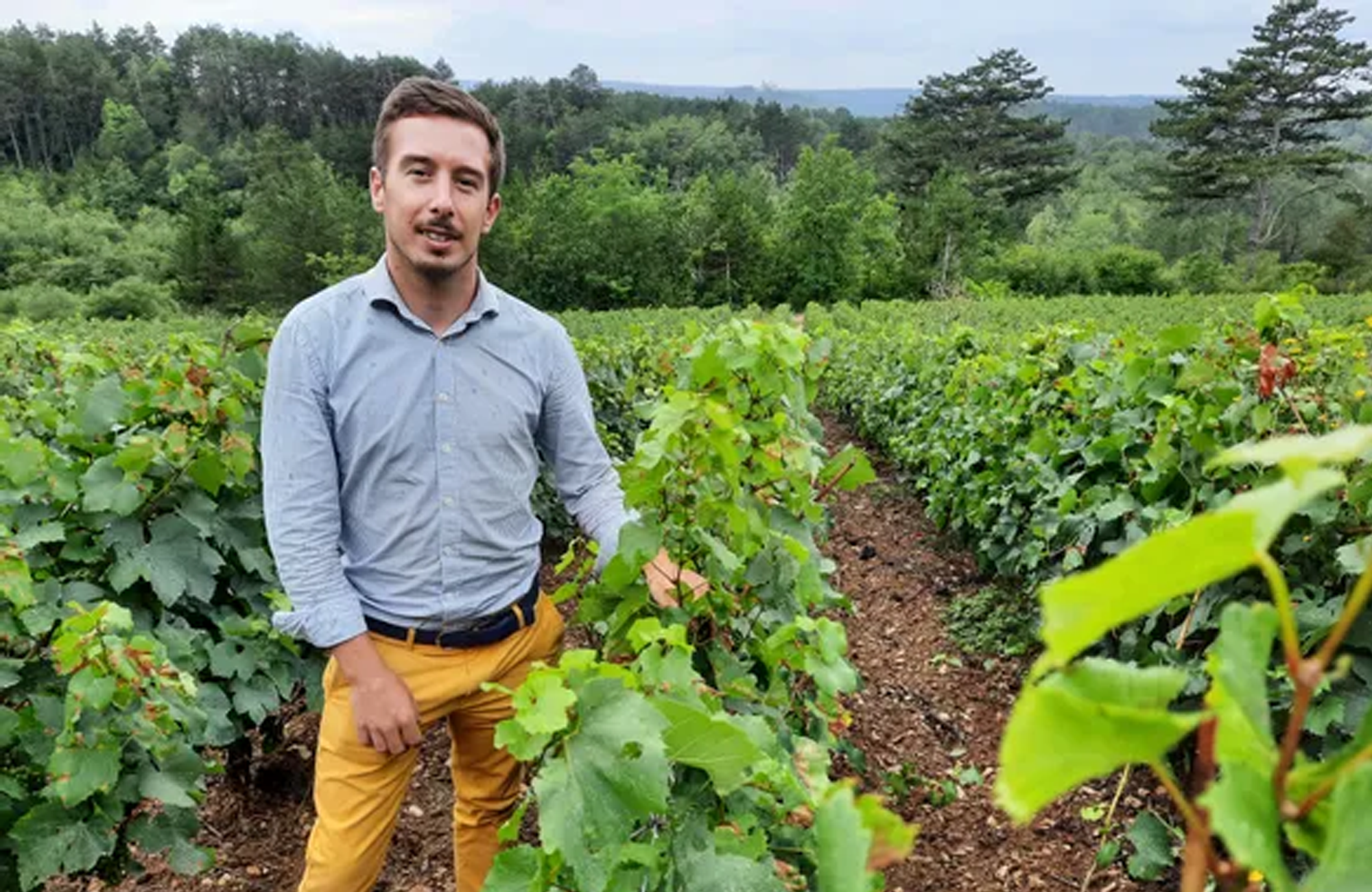 Domaine Xavier Yverneau